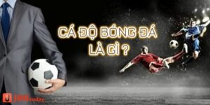 789win_Hướng Dẫn Luật Cá Độ Bóng Đá Bet Thủ Cần Phải Biết