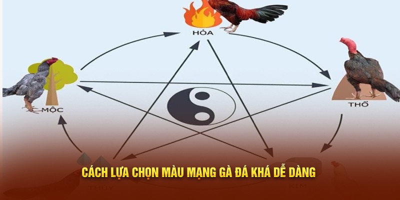 Cách lựa chọn màu mạng gà đá khá dễ dàng 