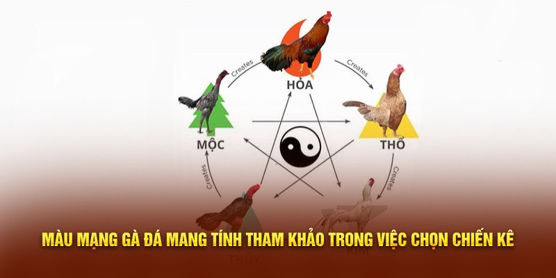 Màu mạng gà đá mang tính tham khảo trong việc chọn chiến kê