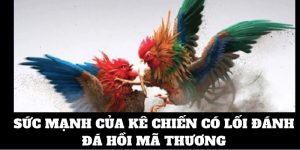 Tìm hiểu về khái niệm đòn hồi mã thương là gì?